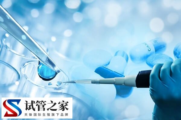 高龄做试管婴儿怎样合理备孕(图3)