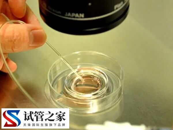 试管囊胚培养容不容易成功(图1)