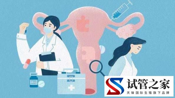 多囊卵巢能做试管婴儿吗(图1)
