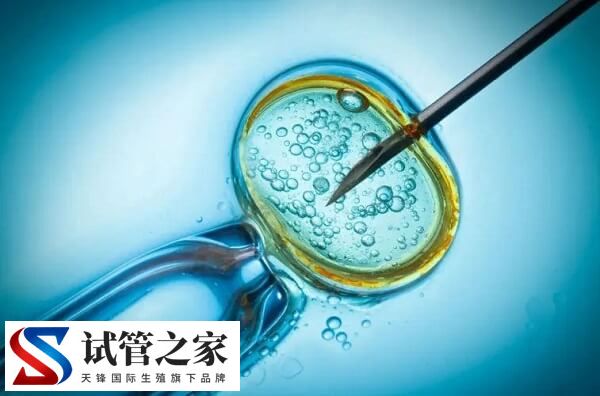 做试管取8个卵泡怎么样(图1)