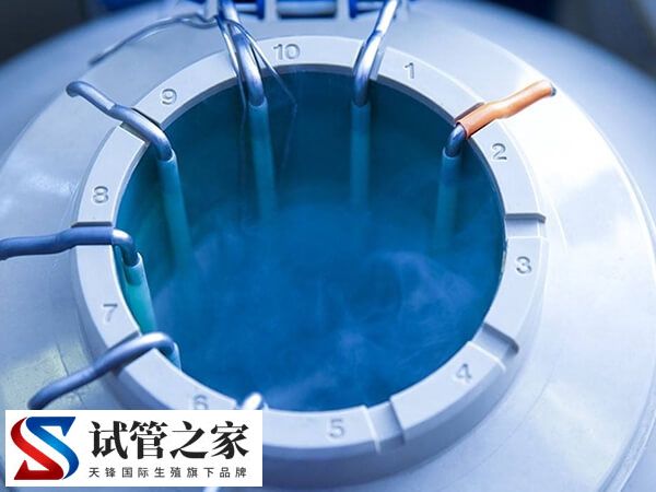 试管婴儿剩余胚胎可以在医院冷冻保存5年吗？(图1)