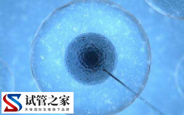 只有2个优质胚胎移植能不能成功