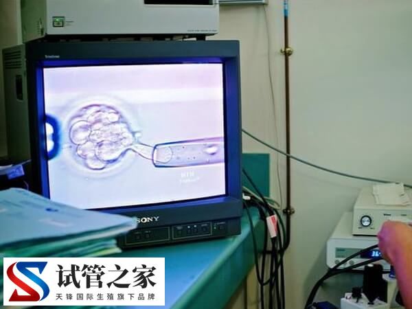 只有2个优质胚胎移植能不能成功(图2) 只有2个优质胚胎移植能不能成功(图2)