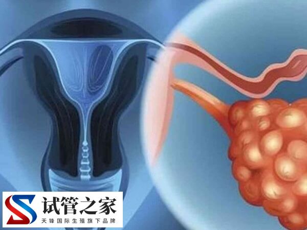 囊胚移植第六天老想小便正不正常(图2) 囊胚移植第六天老想小便正不正常(图2)