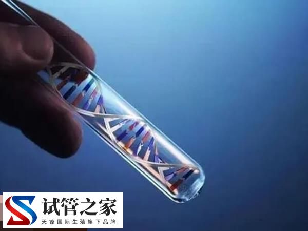 一文告知试管婴儿适用于哪些人，排卵障碍、免疫不孕快瞧