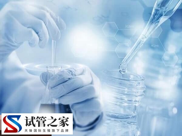 取卵前后的注意事项汇总，可不可以同房一看便知