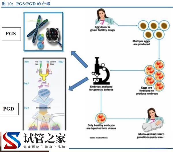 什么是PGT-A？速看与三代试管婴儿的PGS技术的区别在哪(图1)