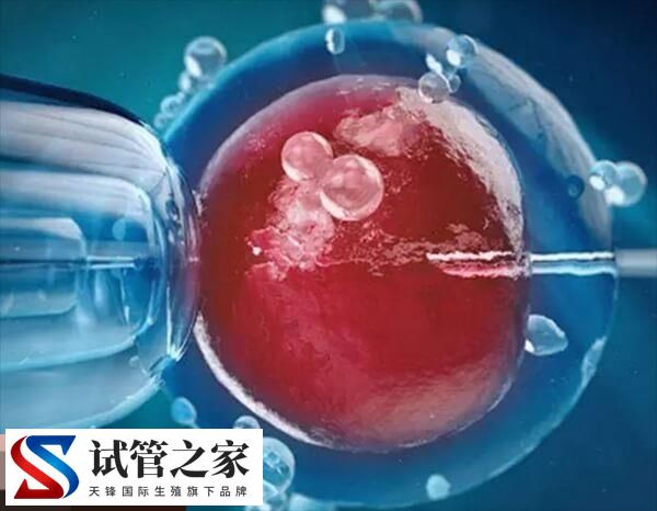 试管婴儿能否一次移植成功说不准，得从年龄等3方面判断(图2)