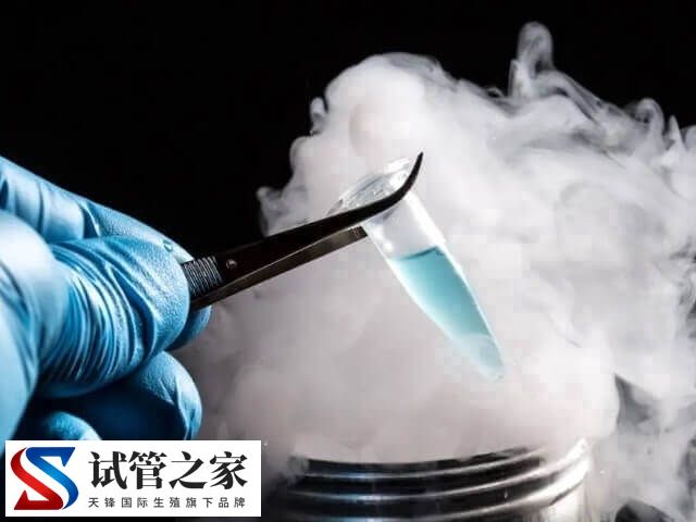 胚胎冷冻费用怎么算的(图1) 胚胎冷冻费用怎么算的(图1)