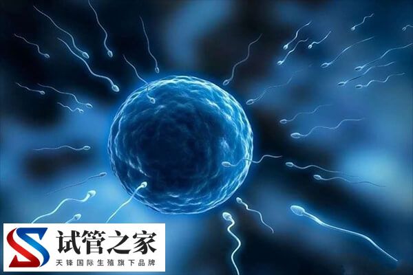 打降调后多久能宫腔灌注(图2) 打降调后多久能宫腔灌注(图2)