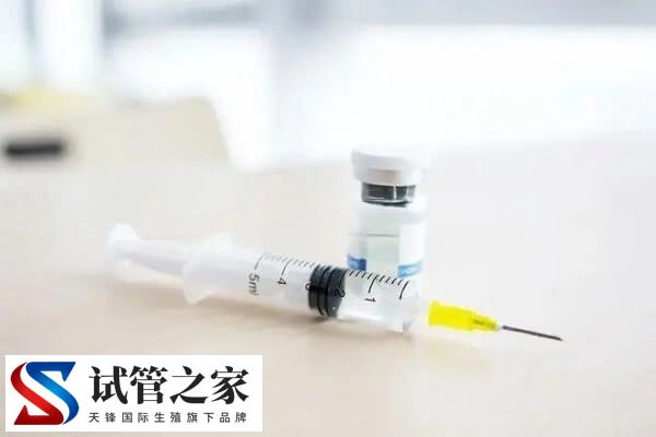 打普丽康四天卵泡是多少合适(图2) 打普丽康四天卵泡是多少合适(图2)