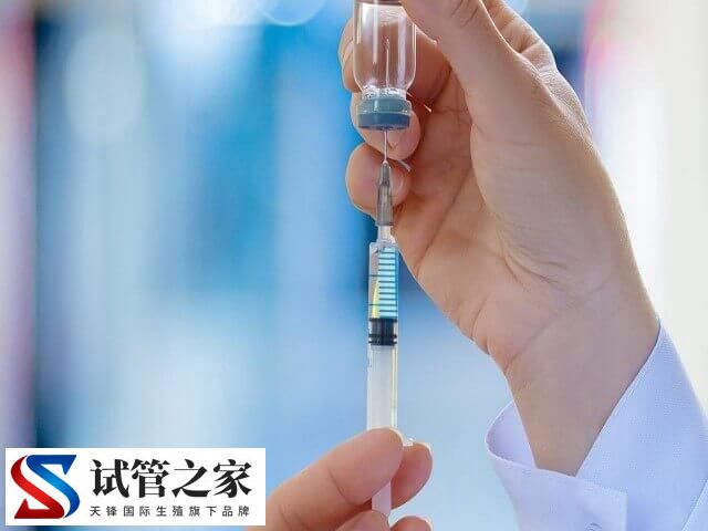 卵泡没排能不能移植冻胚(图2) 卵泡没排能不能移植冻胚(图2)