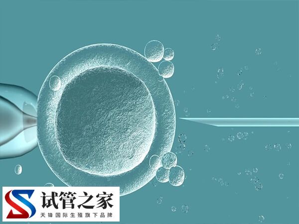 胚胎移植失败后需要注意什么(图2) 胚胎移植失败后需要注意什么(图2)