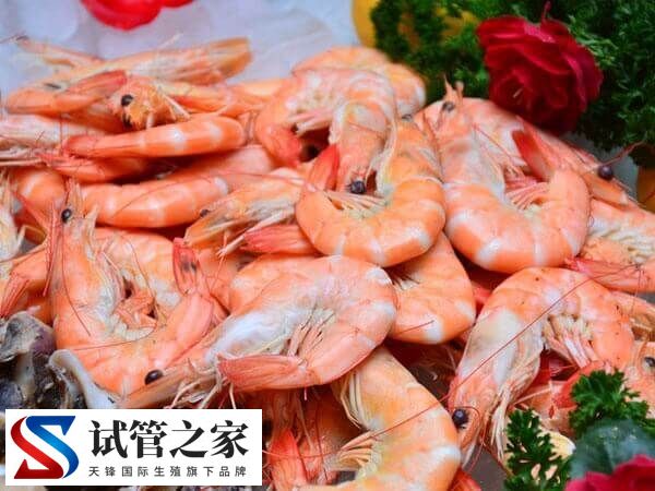 试管移植后吃啥有助胚胎着床(图2) 试管移植后吃啥有助胚胎着床(图2)