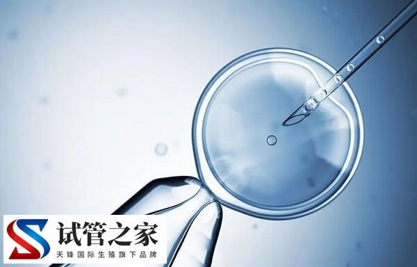 试管婴儿胚胎移植成功率多少(图1) 试管婴儿胚胎移植成功率多少(图1)
