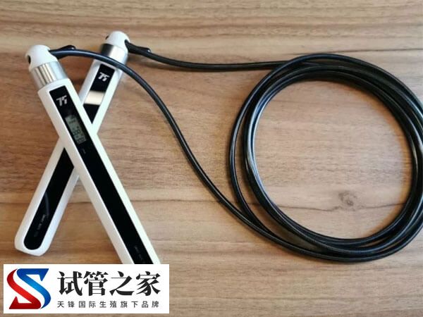 胚胎移植着床后怎样才能翻倍快(图2) 胚胎移植着床后怎样才能翻倍快(图2)