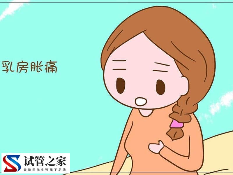 胚胎移植后着床会有什么感觉(图1) 胚胎移植后着床会有什么感觉(图1)