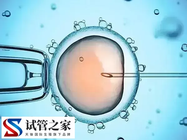 胚胎移植后着床会有什么感觉(图2) 胚胎移植后着床会有什么感觉(图2)