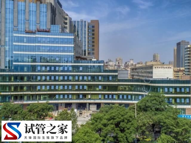 兰州试管婴儿排名第一哪家