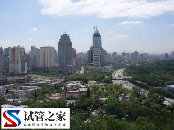 贵阳做试管包成功医院有哪些