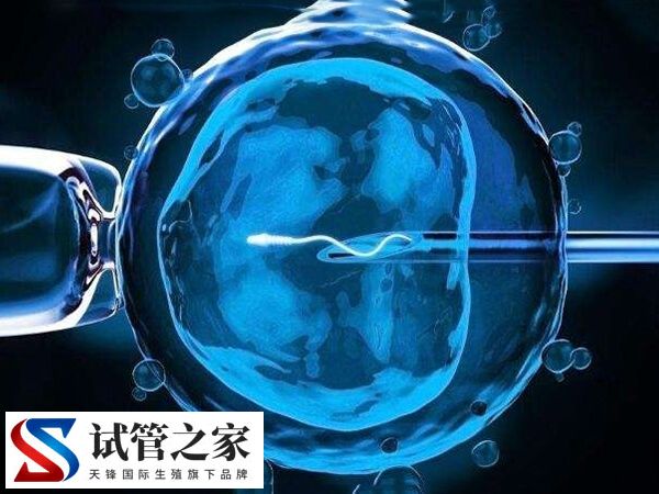 做了两次试管都不成功怎么办(图1) 做了两次试管都不成功怎么办(图1)