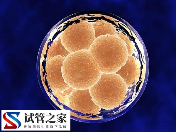 34岁7次试管没成功怎么办(图1) 34岁7次试管没成功怎么办(图1)