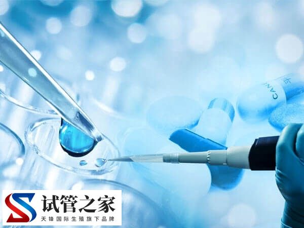 试管不着床与生化哪个更可怕(图1) 试管不着床与生化哪个更可怕(图1)