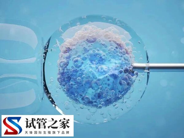 试管不着床与生化哪个更可怕(图2) 试管不着床与生化哪个更可怕(图2)