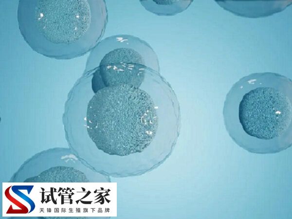 做试管会不会导致陈旧结核复发(图1) 做试管会不会导致陈旧结核复发(图1)