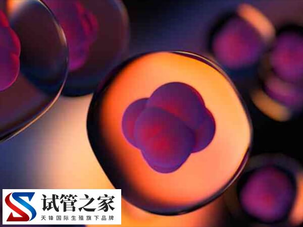 试管打针会不会导致乳腺结节(图1) 试管打针会不会导致乳腺结节(图1)