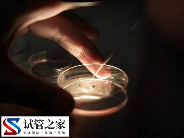 养囊6天了还没结果是好事还是坏事(图2) 养囊6天了还没结果是好事还是坏事(图2)