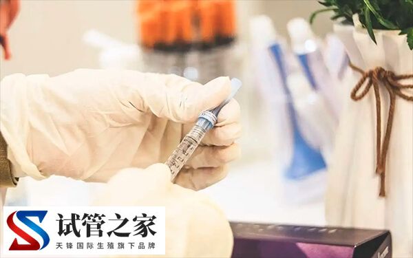 夜针打艾泽是不是因为卵泡多(图2) 夜针打艾泽是不是因为卵泡多(图1)