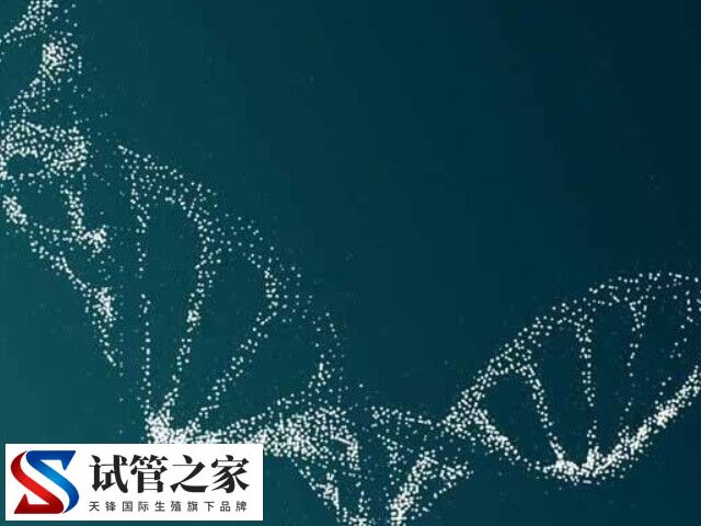 第三代试管婴儿PGT诊断可以排除蚕豆病吗?(图2) 第三代试管婴儿PGT诊断可以排除蚕豆病吗?(图2)