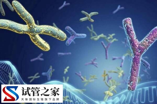 第三代试管婴儿PGT诊断可以排除蚕豆病吗?(图1) 第三代试管婴儿PGT诊断可以排除蚕豆病吗?(图1)