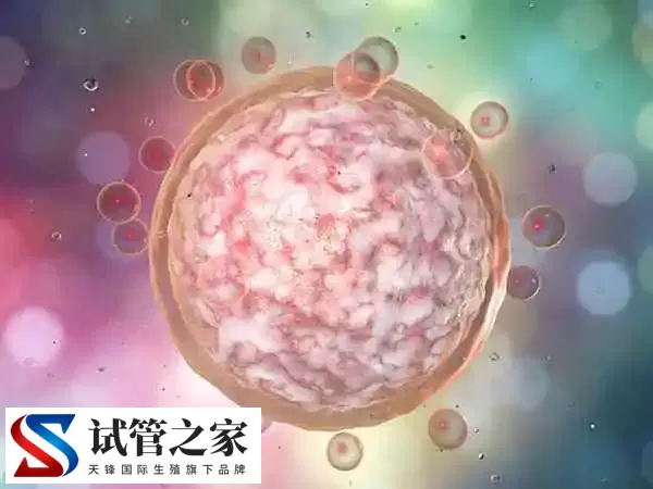 试管移植前lh多少是正常(图2) 试管移植前lh多少是正常(图1)