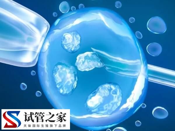 试管婴儿胚胎冷冻后不用了医院怎么处理(图1) 试管婴儿胚胎冷冻后不用了医院怎么处理(图1)