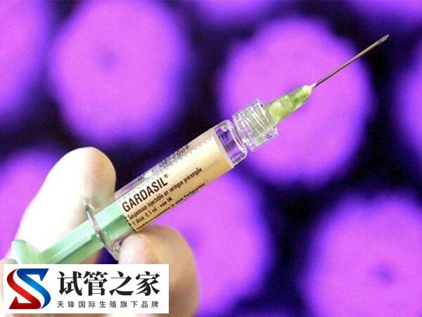 北医三院试管婴儿费用大约多少(图1) 北医三院试管婴儿费用大约多少(图1)