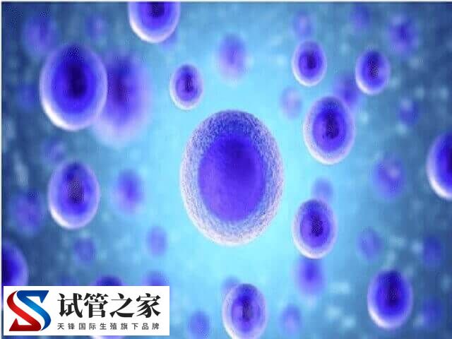 试管微刺激方案促排需要几天(图1) 试管微刺激方案促排需要几天(图1)