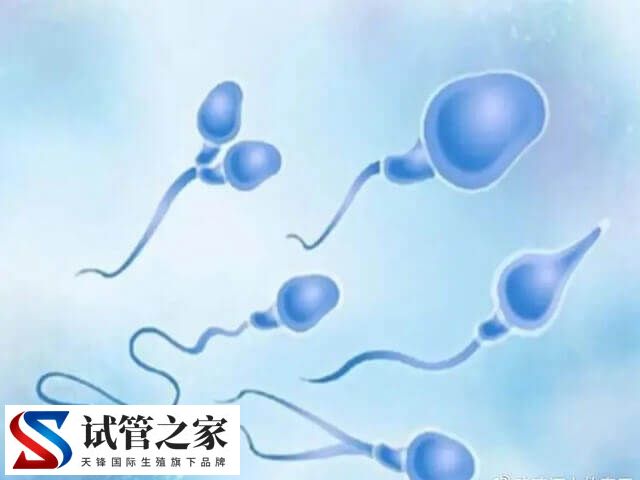 2025年试管婴儿费用大约多少(图2) 2025年试管婴儿费用大约多少(图2)