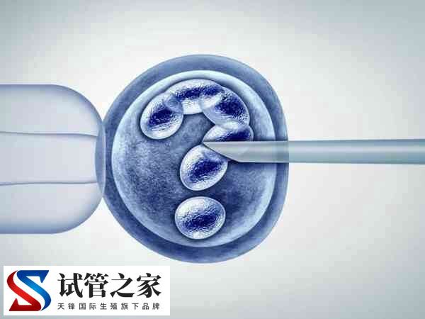 2025年试管婴儿费用大约多少(图1) 2025年试管婴儿费用大约多少(图1)
