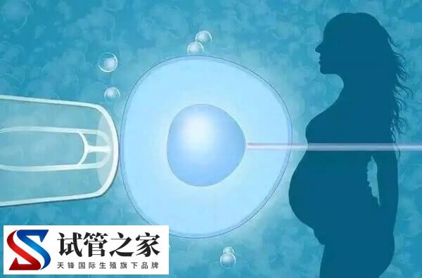 2025年试管婴儿费用大约多少(图3) 2025年试管婴儿费用大约多少(图3)