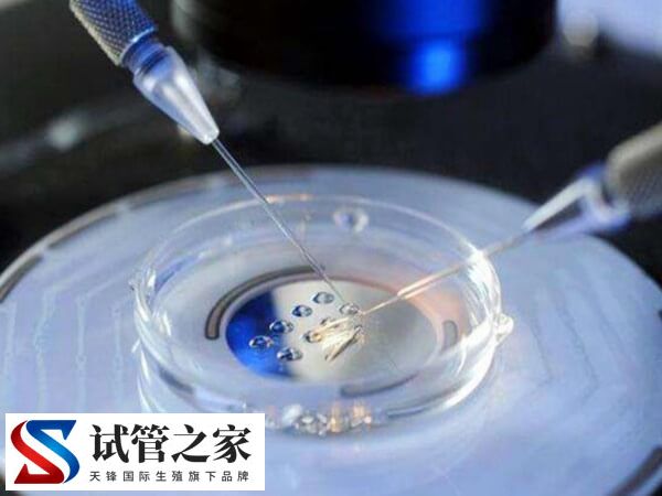 做试管最好的私立医院有哪些(图1) 做试管最好的私立医院有哪些(图1)