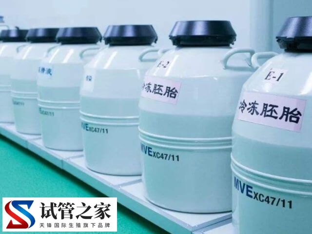 6年没交胚胎费用会怎样(图1) 6年没交胚胎费用会怎样(图1)