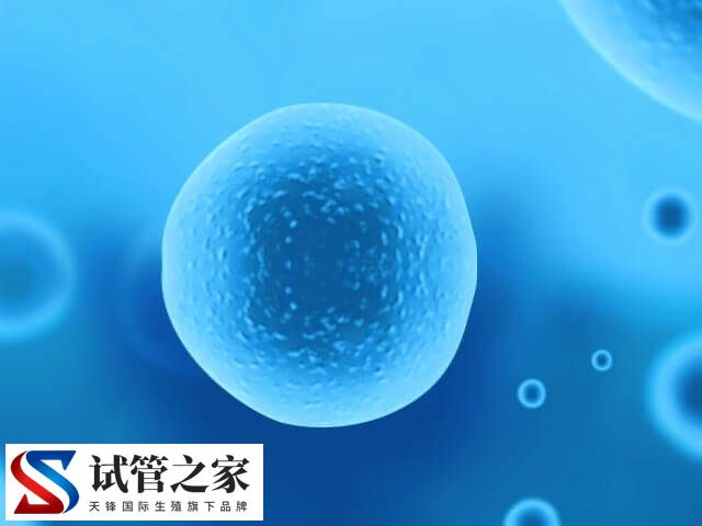 6年没交胚胎费用会怎样(图2) 6年没交胚胎费用会怎样(图2)