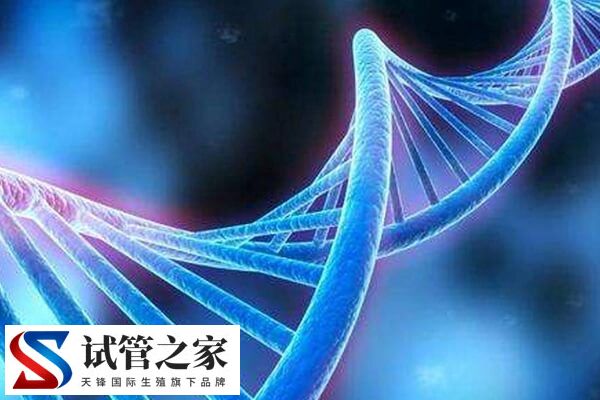 6号染色体三体严不严重(图1) 6号染色体三体严不严重(图1)