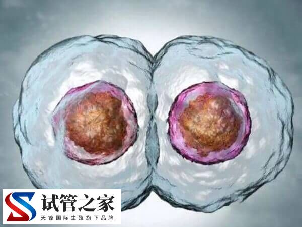 60岁试管婴儿成功案例是哪个医院做的(图1) 60岁试管婴儿成功案例是哪个医院做的(图1)