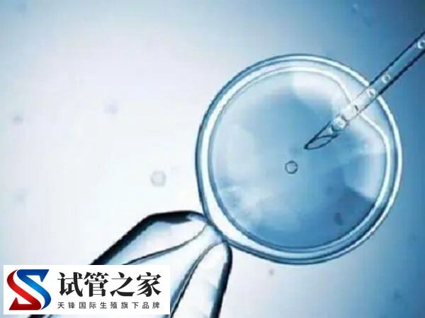 60岁试管婴儿成功案例有哪些(图1) 60岁试管婴儿成功案例有哪些(图1)