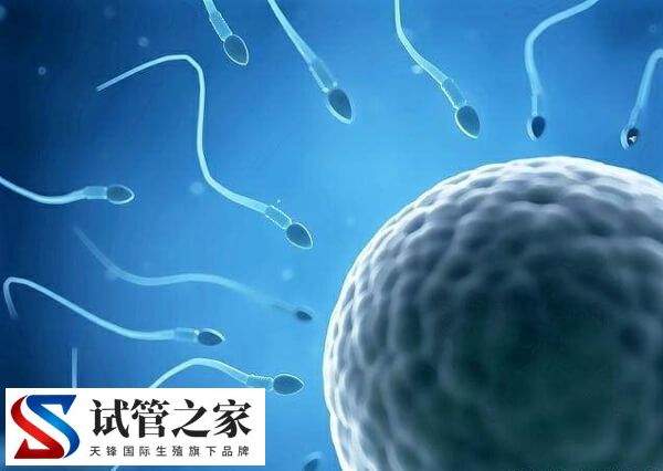 同性拉拉去美国做一个周期的试管婴儿费用是多少钱呢?(图2) 同性拉拉去美国做一个周期的试管婴儿费用是多少钱呢?(图2)