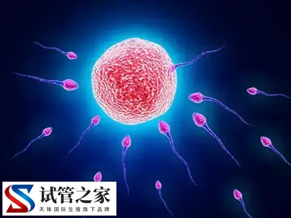 高龄女性去俄罗斯做试管婴儿要怎么做(图3) 高龄女性去俄罗斯做试管婴儿要怎么做(图3)