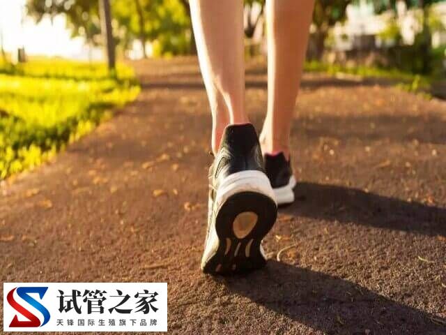 更年期慢跑好还是走路好(图2) 更年期慢跑好还是走路好(图2)